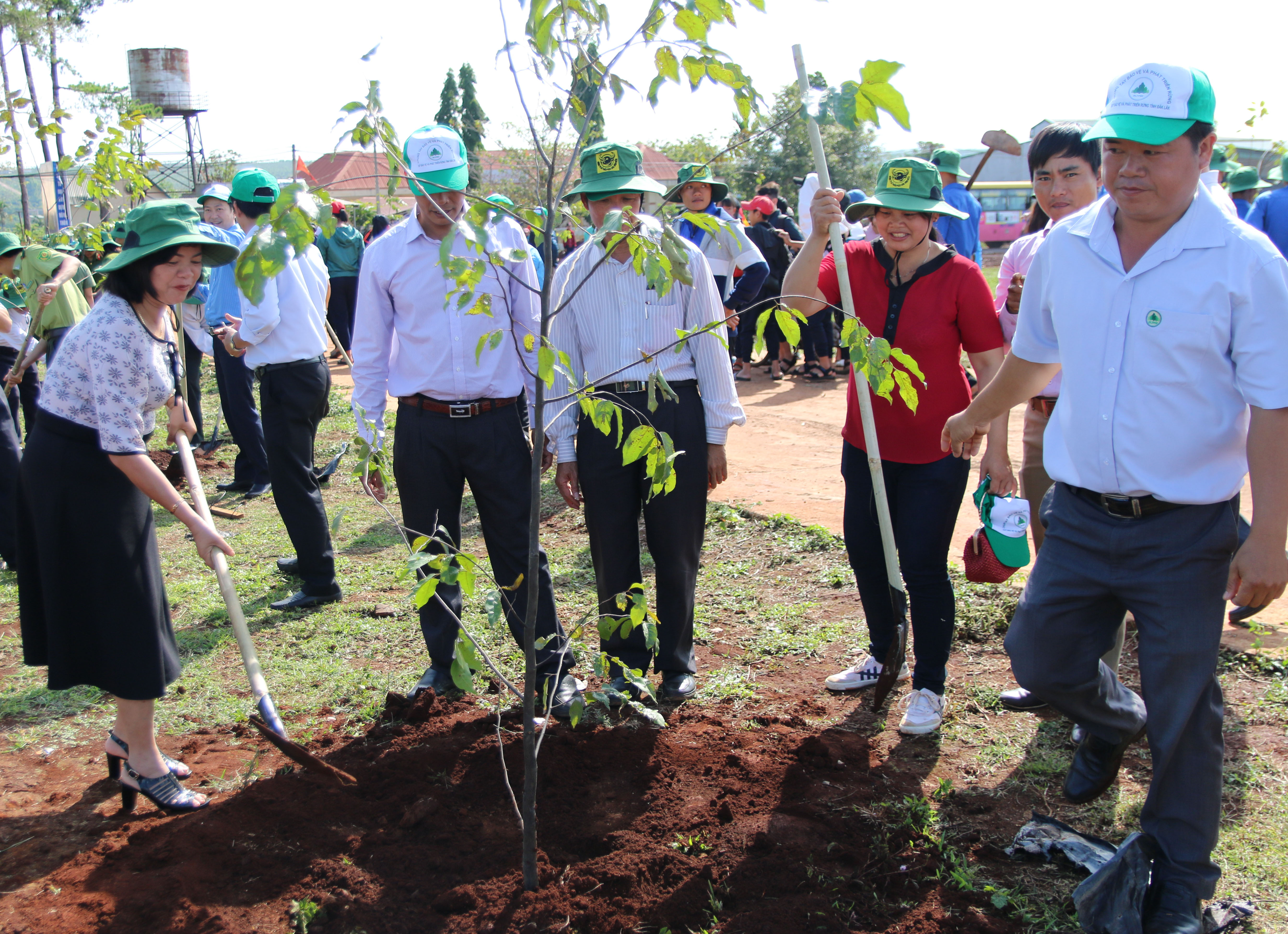 Huyện Krông Năng: Phát động trồng cây nhân dịp kỷ niệm 128 năm Ngày sinh nhật Bác Hồ