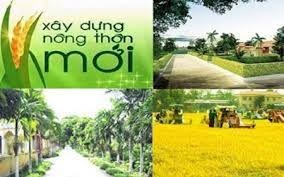 Thực hiện Thông báo số 173/TB-VPCP ngày 10/5/2018 của Văn phòng Chính phủ
