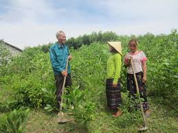 Báo cáo thi hành pháp luật về công tác bảo vệ và phát triển rừng gắn với giảm nghèo bền vững vùng dân tộc thiểu số và miền núi