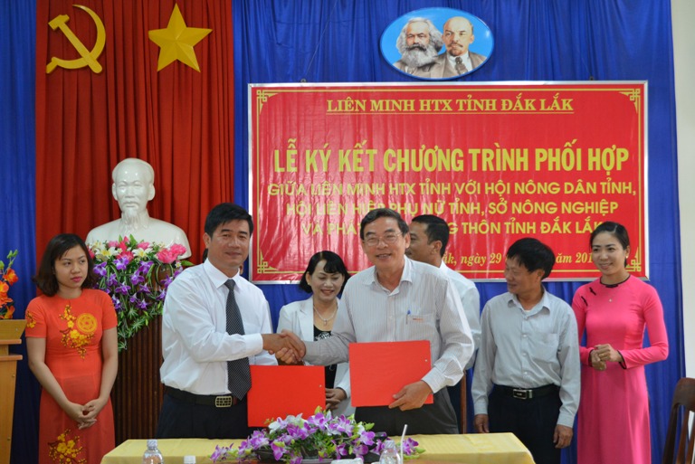 Ban hành Kế hoạch phát triển kinh tế tập thể tỉnh Đắk Lắk năm 2019