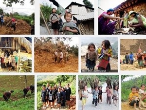 Triển khai Công văn số 65/UBDT-CSDT ngày 22/01/2016 của Ủy ban Dân tộc
