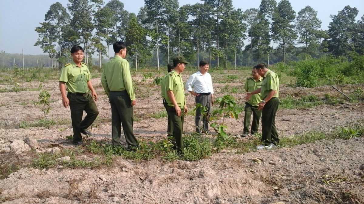 Thông báo kết luận của Phó Chủ tịch UBND tỉnh tại cuộc họp về dự án nông lâm nghiệp trên địa bàn