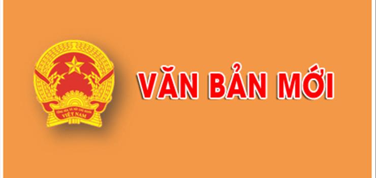 Triển khai thực hiện các Công văn của Tổng cục Đường bộ Việt Nam