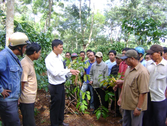 Tổ chức tham quan học tập kinh nghiệm trong tỉnh đối với người có uy tín trong đồng bào dân tộc thiểu số