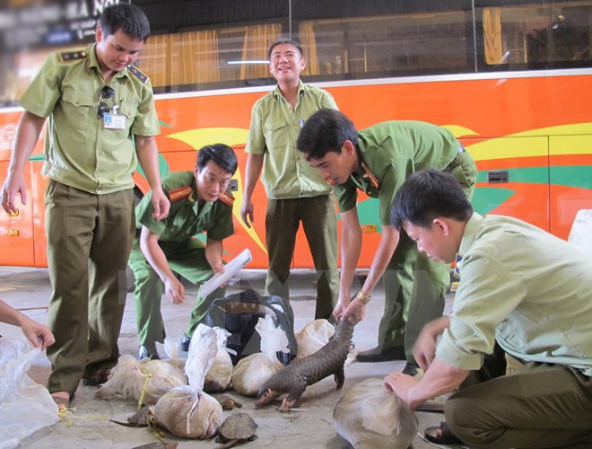 Tăng cường các biện pháp bảo vệ rừng và quản lý động vật hoang dã