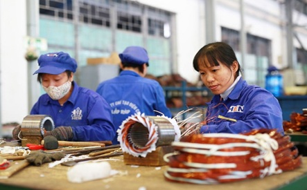 Triển khai Nghị định số 153/2018/NĐ- CP ngày 07/11/2018 của Chính phủ