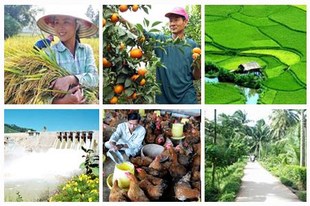 Triển khai Quyết định số 4163/QĐ-BNN-KTHT, ngày 24/10/2018 của Bộ Nông nghiệp và Phát triển nông thôn.