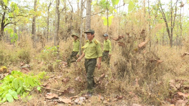 Triển khai công tác phòng cháy, chữa cháy rừng mùa khô 2018 – 2019