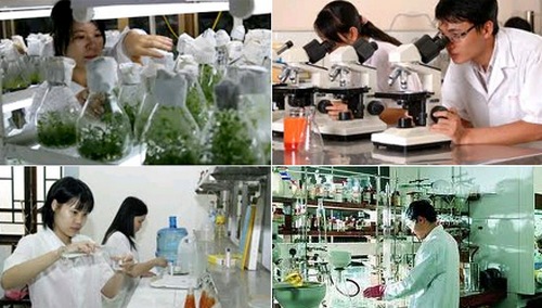 Rà soát, đánh giá việc thực hiện cơ chế, chính sách phát triển đội ngũ cán bộ khoa học công nghệ