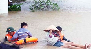 Triển khai Nghị định số 160/2018/NĐ- CP ngày 29/11/2018 của Chính phủ
