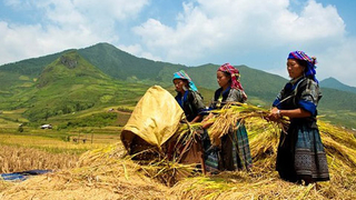 Báo cáo việc thực hiện chính sách, pháp luật về thực hiện Chương trình MTQG giảm nghèo bền vững trên địa bàn vùng DTTS miền núi giai đoạn 2012-2018