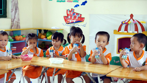 Tăng cường triển khai Chương trình Sữa học đường