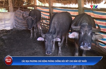 Triển khai Công điện số 9641/CĐ-BNN-CN ngày 12/12/2018 của Bộ Nông nghiệp và Phát triển nông thôn