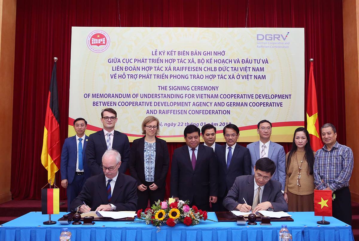 Tham mưu báo cáo tình hình ký kết và thực hiện hợp tác quốc tế.