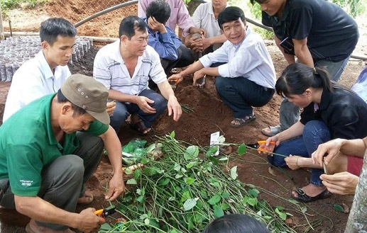 Ban hành Kế hoạch đào tạo nghề nông nghiệp cho lao động nông thôn tỉnh Đắk Lắk năm 2019