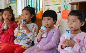 Triển khai Quyết định số 41/QĐ-TTg của Thủ tướng Chính phủ