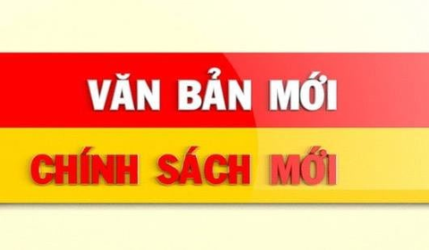 Triển khai Công văn số 56/BLĐTBXH-TE ngày 04/01/2019 của Bộ Lao động – Thương binh và Xã hội