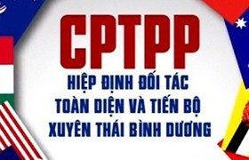 Thủ tướng phê duyệt Kế hoạch thực hiện Hiệp định CPTPP