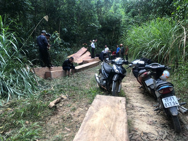 Bắt giữ vụ khai thác, vận chuyển 14m3 gỗ lậu ở Đắk Lắk
