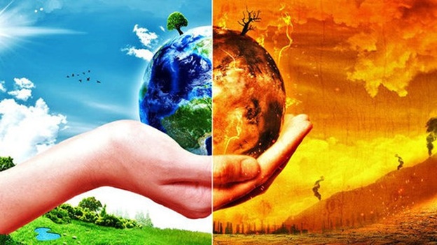 Triển khai Công văn số 232/TTg-NN ngày 20/02/2019 của Thủ tướng Chính phủ