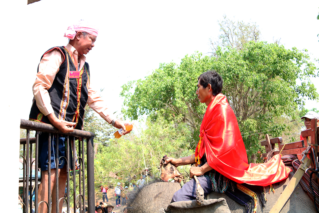 Buon Don Ethnic Traditional Cultural Festival: Ceremonies on praying for river wharf and elephants’ health