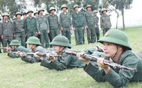 Triển khai Nghị định số 21/2019/NĐ-CP ngày 22/02/2019 của Chính phủ