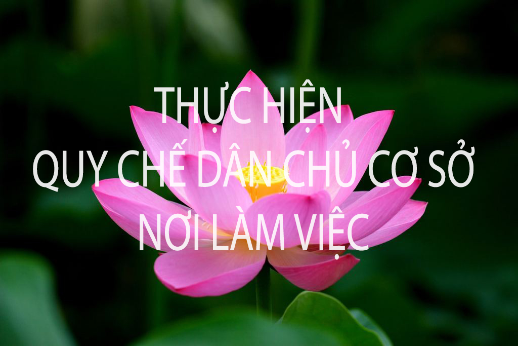 Triển khai Nghị định số 149/2018/NĐ-CP ngày 07/11/2018 của Chính phủ.