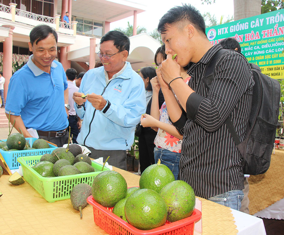 Triển khai Chương trình OCOP trên địa bàn tỉnh