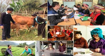 Thực hiện các dự án, tiểu dự án hỗ trợ phát triển sản xuất thuộc Chương trình MTQG giảm nghèo bền vững năm 2019