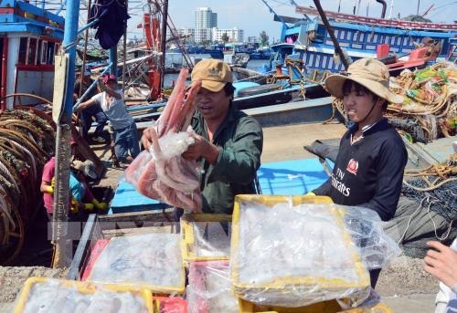 Triển khai Nghị định số 26/2019/NĐ-CP ngày 08/3/2019 của Chính phủ