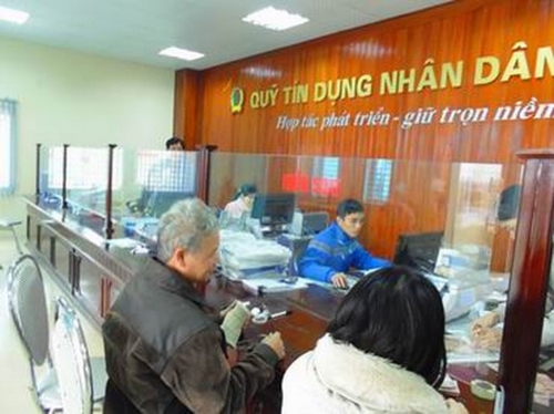 Tham mưu triển khai Chỉ thị số 06/CT-TTg ngày 12/3/2019