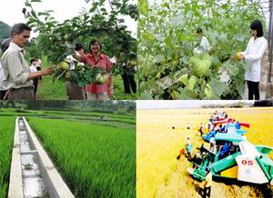 Phối hợp triển khai thực hiện Chương trình vay vốn WB