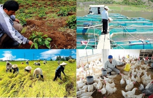 Rà soát, đánh giá việc thực hiện chính sách, tiền lương trong lĩnh vực nông nghiệp và phát triển nông thôn