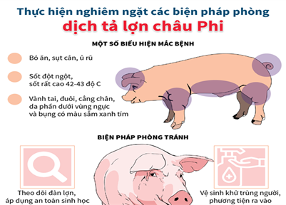 Triển khai quyết liệt, đồng bộ các biện pháp phòng, chống bệnh Dịch tả lợn Châu Phi