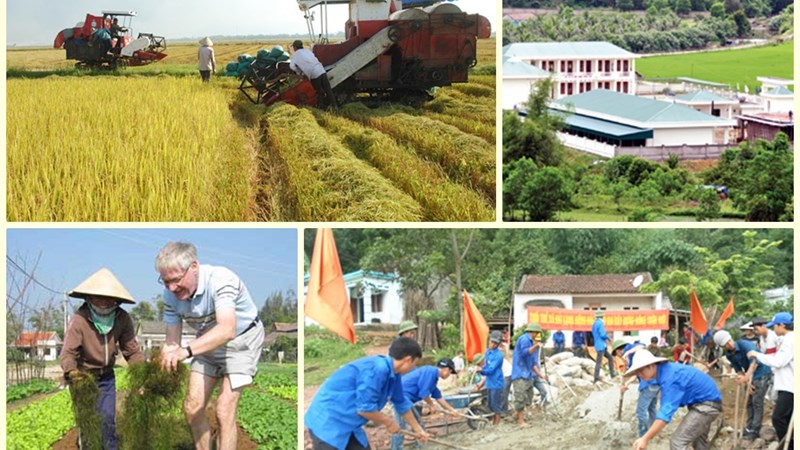 Thực hiện Công văn số 3099/BKHĐT-KTNN của Bộ Kế hoạch và Đầu tư
