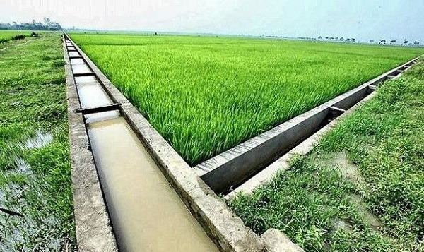 Tăng cường phát triển thủy lợi nhỏ, thủy lợi nội đồng và tưới tiên tiến, tiết kiệm nước