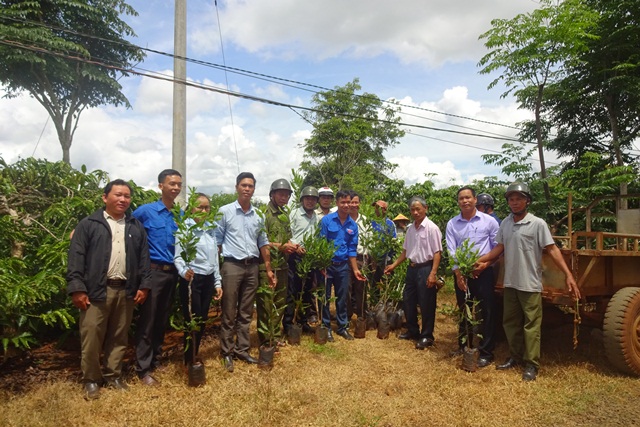 Xã Phú Lộc (Krông Năng) hỗ trợ mô hình trồng Mắc ca cho các buôn kết nghĩa