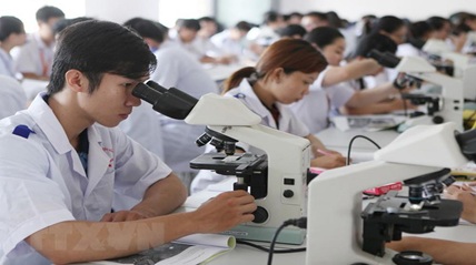 Triển khai Nghị định số 51/2019/NĐ-CP ngày 13/6/2019 của Chính phủ