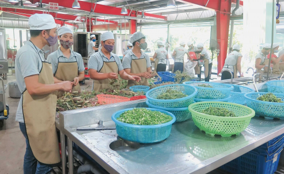Thực hiện Kế hoạch hành động đảm bảo an toàn thực phẩm trong lĩnh vực nông nghiệp trên địa bàn tỉnh.