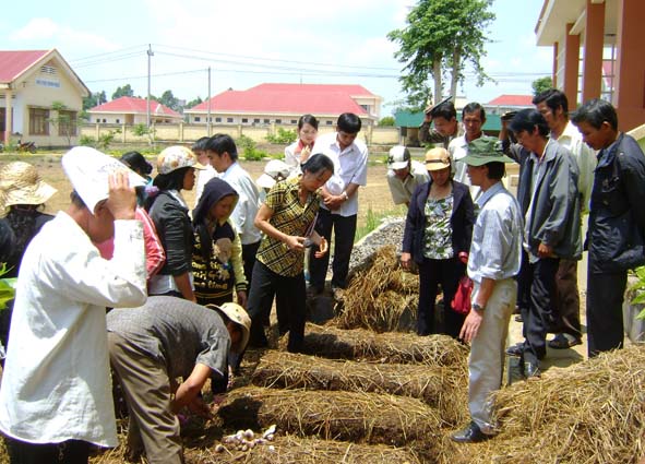 Hướng dẫn tổng kết 10 năm thực hiện đào tạo nghề cho lao động nông thôn trong xây dựng nông thôn mới.