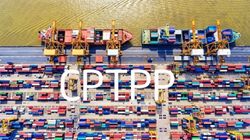 Biểu thuế xuất nhập khẩu ưu đãi đặc biệt thực hiện Hiệp định CPTPP