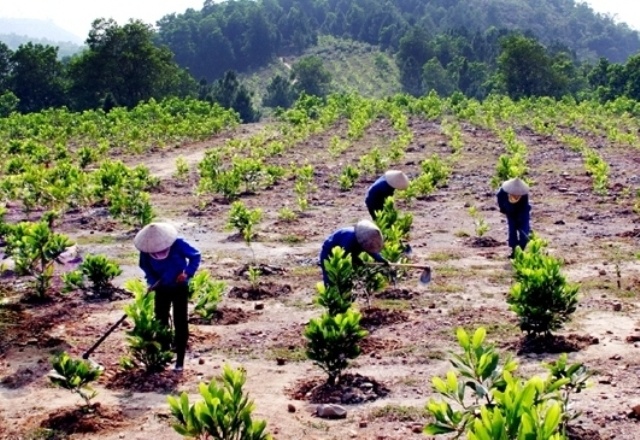 Triển khai thực hiện Công văn số 3212/BTNMT-BĐKH ngày 04/7/2019 của Bộ Tài nguyên và Môi trường.
