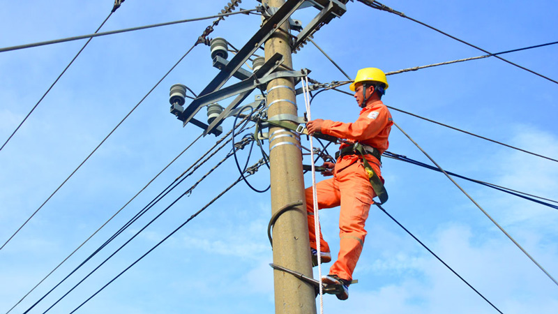 Triển khai thực hiện Thông báo số 229/TB-VPCP ngày 05/7/2019 của Văn phòng Chính phủ.