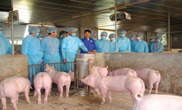 Triển khai Quyết định số 793/QĐ-TTg ngày 27/6/2019 của Thủ tướng Chính phủ