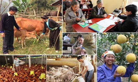 Ban hành Kế hoạch thực hiện Dự án hỗ trợ phát triển sản xuất, đa dạng hóa sinh kế và nhân rộng mô hình giảm nghèo