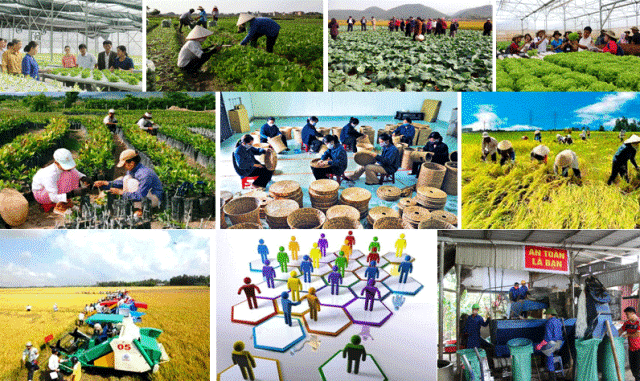 Xây dựng kế hoạch phát triển kinh tế tập thể năm 2020.