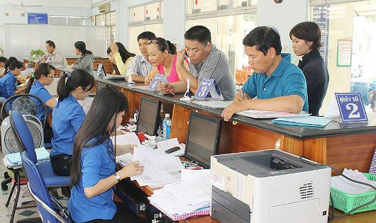 Giao tổng hợp danh mục vị trí việc làm và bản mô tả vị trí việc làm chuyên ngành khoa học và công nghệ.