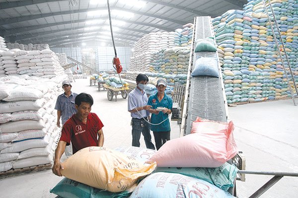Thực hiện giao, nhận gạo dự trữ quốc gia hỗ trợ.