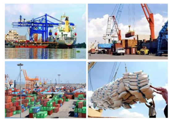 Triển khai Thông tư số 60/2019/TT-BTC ngày 30/8/2019 của Bộ trưởng Bộ Tài chính.
