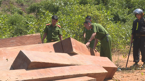 Bí thư Tỉnh ủy gửi Thư khen Công an tỉnh Đắk Lắk trong công tác quản lý, bảo vệ rừng
